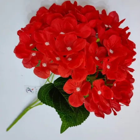Hydrangea stems